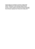 Eseja 'Vai hercoga Jēkaba laiks Kurzemes-Zemgales hercogistē ir saimnieciskā uzplaukuma', 2.