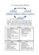 Prakses atskaite 'SIA "Labo darbu komanda" prakses atskaite', 12.