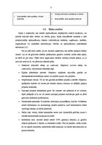 Prakses atskaite 'SIA "Labo darbu komanda" prakses atskaite', 13.