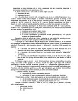 Referāts 'Es tēls', 5.