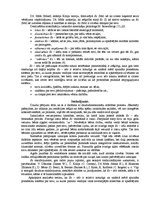 Referāts 'Es tēls', 7.