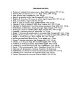 Referāts 'Es tēls', 12.