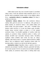 Konspekts 'Sudrabainie mākoņi', 1.