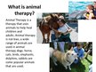 Prezentācija 'Animal Therapy', 2.