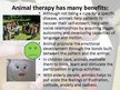 Prezentācija 'Animal Therapy', 3.