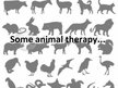 Prezentācija 'Animal Therapy', 5.