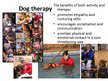 Prezentācija 'Animal Therapy', 8.