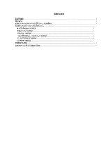 Referāts 'Biznesa analīze un stratēģija', 2.