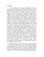 Diplomdarbs 'Apcietinājums pirmstiesas kriminālprocesā', 13.