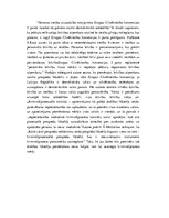 Diplomdarbs 'Apcietinājums pirmstiesas kriminālprocesā', 15.