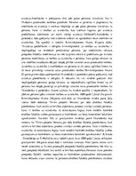 Diplomdarbs 'Apcietinājums pirmstiesas kriminālprocesā', 29.