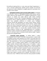 Diplomdarbs 'Apcietinājums pirmstiesas kriminālprocesā', 61.