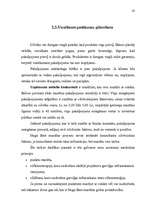 Diplomdarbs 'Virzīšanas pasākumu plānošana jaunam produktam', 42.