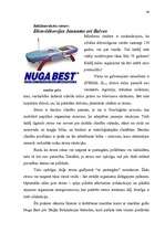 Diplomdarbs 'Virzīšanas pasākumu plānošana jaunam produktam', 45.