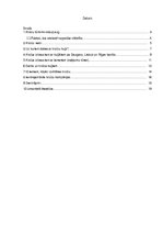 Referāts 'Kruīzu kuģi', 1.