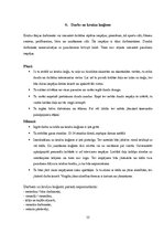 Referāts 'Kruīzu kuģi', 12.