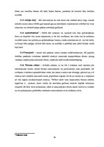 Referāts 'Globālā terorisma ietekme uz ekonomiku', 15.