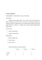 Referāts 'Klausīšanās prasmju pilnveidošana', 24.