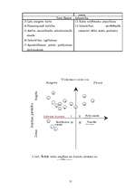 Referāts 'Pētnieciskais darbs mārketingā', 11.