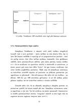 Referāts 'Pētnieciskais darbs mārketingā', 22.