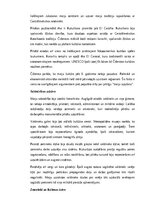 Konspekts 'Maiju civilizācija: vēsture, kultūra, mitoloģija, sabiedrība un kultūras mantoju', 7.