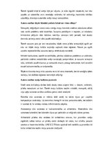 Konspekts 'Maiju civilizācija: vēsture, kultūra, mitoloģija, sabiedrība un kultūras mantoju', 23.
