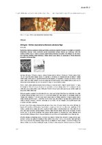 Referāts 'Latvijas diplomātiskais dienests (1918. - 1991.)', 15.