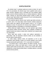 Biznesa plāns 'Sabiedrība ar ierobežotu atbildību "Bellisima lingua” ', 4.