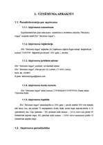 Biznesa plāns 'Sabiedrība ar ierobežotu atbildību "Bellisima lingua” ', 7.