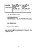 Biznesa plāns 'Sabiedrība ar ierobežotu atbildību "Bellisima lingua” ', 9.