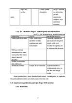 Biznesa plāns 'Sabiedrība ar ierobežotu atbildību "Bellisima lingua” ', 17.