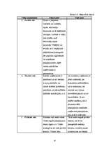 Biznesa plāns 'Sabiedrība ar ierobežotu atbildību "Bellisima lingua” ', 19.