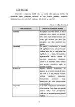 Biznesa plāns 'Sabiedrība ar ierobežotu atbildību "Bellisima lingua” ', 21.