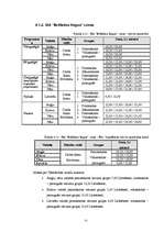 Biznesa plāns 'Sabiedrība ar ierobežotu atbildību "Bellisima lingua” ', 25.