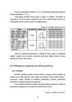 Biznesa plāns 'Sabiedrība ar ierobežotu atbildību "Bellisima lingua” ', 26.