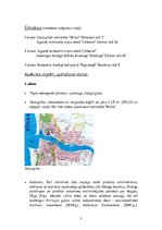 Konspekts 'Trīs dienu maršruts pa Latviju', 3.