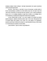 Konspekts 'Ziemeļu ķīmiskās korporācijas centralizācijas problēmu analīze', 3.