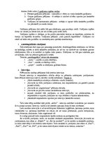 Konspekts 'Kvalitatīvie pētījumi', 7.