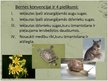 Prezentācija 'Pasākumi, kuri veicina bioloģiskās daudzveidības saglabāšanu', 8.