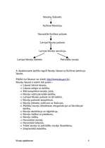 Referāts 'Kultūrpolitika muzejos', 6.