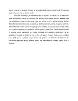 Eseja 'Konfidencialitāte un lojalitāte', 4.