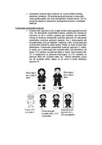 Referāts 'Gēnu mutācijas, homosomālās pārveidnes, multifaktoriālās slimības', 2.