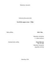 Referāts 'Latviešu sapņu zeme - Īrija', 1.