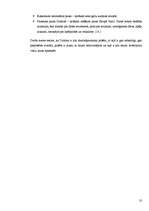 Referāts 'Latviešu sapņu zeme - Īrija', 10.