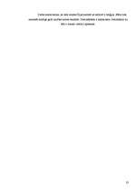 Referāts 'Latviešu sapņu zeme - Īrija', 23.