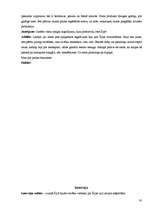 Referāts 'Latviešu sapņu zeme - Īrija', 30.