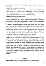 Referāts 'Latviešu sapņu zeme - Īrija', 32.