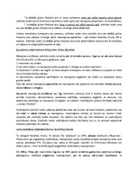 Konspekts 'Mantojuma lietu vešanas process', 4.