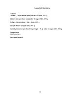 Referāts 'Brīvības cīņas Latvijas teritorijā 13.gadsimtā', 21.