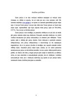 Referāts 'Pašvaldību vēlēšanu komunikācija: partiju interneta mājas lapu piedāvātā rāmējum', 4.